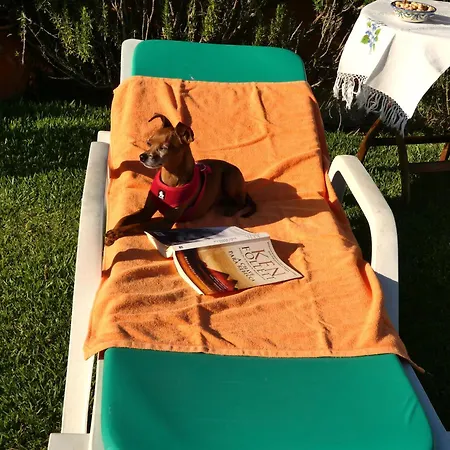 Casa Da Bonanca Ofir 펜션