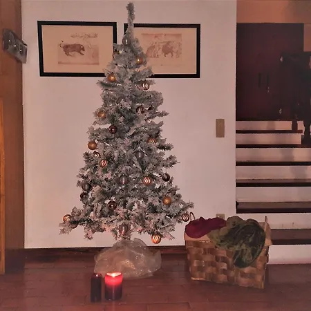 펜션 Casa Da Bonanca Ofir *