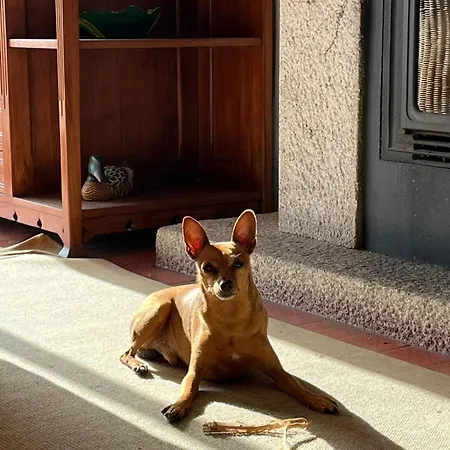 Casa Da Bonanca Ofir