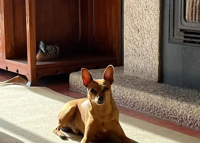Casa Da Bonança Ofir