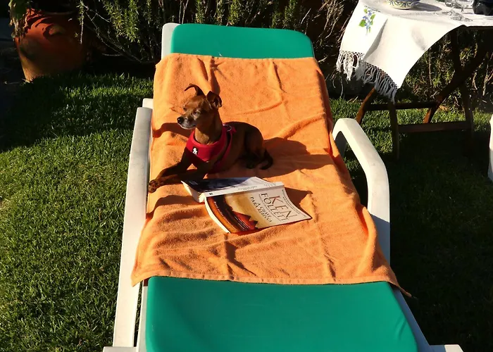 Casa Da Bonança Ofir Casa de Férias