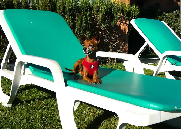 Casa de Férias Casa Da Bonança Ofir *